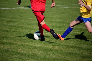 爱游戏体育app-NBA球员训练计划个性化设计，nba球员训练视频,篮球技术