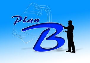 AYX官网-中国篮球职业俱乐部财务风险控制研究，篮球俱乐部企业组织结构图